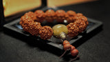 Load image into Gallery viewer, Rudraksha Bead &amp; Amber Charm Bracelet